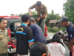 Pemuda Karang Taruna Desa Purwodadi Serahkan Satwa dilindungi