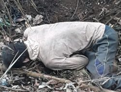 Kebun Terbakar, Toradi ikut Terbakar