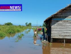 Tanggul Jebol, Ratusan Hektare Tanaman Palawija Terancam Puso