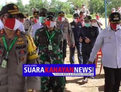 Jokowi Dorong Pulang Pisau Jadi Pusat Ketahanan Pangan Nasional