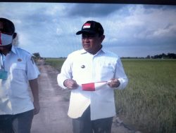 Pulpis Dapat Jatah 10 Ribu Hektare Optimalisasi Lahan Pertanian
