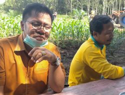 DPRD Pulpis Kunjungi Lokasi Program Sawit Rakyat