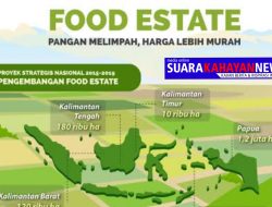 Pulpis Siap jadi Kawasan Food estate