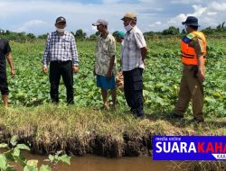 Dinas Teknis Tinjau Lokasi Tanggul dan Lahan Palawija yang Terendam