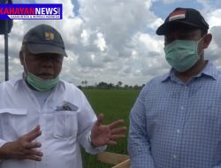 Pemerintah Pusat Fokus Bangun Sarana Ketahanan Pangan Nasional di Pulang Pisau