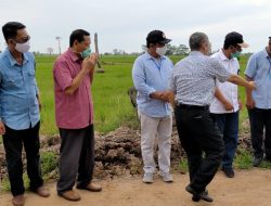 Bulog Akan Segera Bangun Industri Pertanian Modern