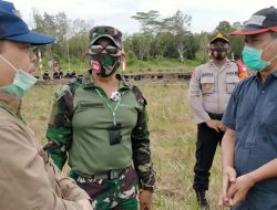 Danrem 102/PJG Meninjau Lokasi Food Estate dengan Satgas Pertanian