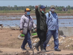 Tim Kerja Kementan Percepat Penyiapan Lokasi Kedatangan Presiden