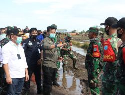 Mentan Siapkan 1000 ha untuk Kedatangan Presiden RI ke Wilayah Food Estate