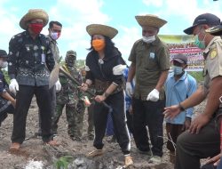 Pengembangan Food Estate dengan Menanam  Pohon Buah di Areal 220 Hektar Lahan