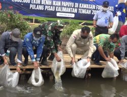 Tebar 1 juta Ikan Papuyu, KKP Dukung Pengembangan Food Estate di Pulang Pisau, Provinsi Kalteng