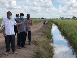 Saat plt. Bupati Bicara Food Estate, KPN Harus di Tingkatkan