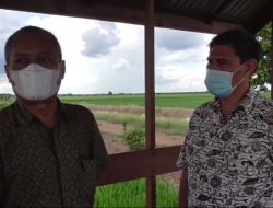 Kepala BPK RI Besok Datangi Pulang Pisau Cek Fisik Lapangan