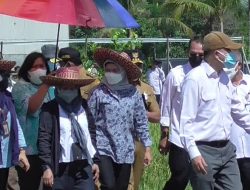 Saat Anggota IV BPK RI dan Tim Kunjungi Lokasi Food Estate