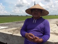 Petani Desa Mulyasari Belum Bergairah, Jalan Rusak dan hasil Panen Sulit Keluar