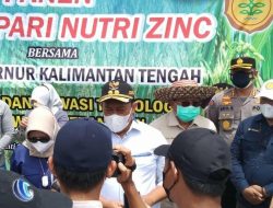 Wabup Kembali Kunjungi Wilayah Food Estate dengan 2 Agenda Kegiatan