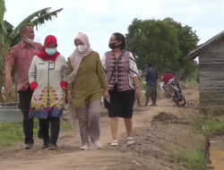 Kerja Keras Lintas Sektoral Sukseskan Program Food Estate