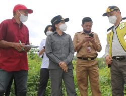 Strategi Pelaksanaan Pembangunan di Tengah Pandemi Covid-19 Bidang Insfrastruktur