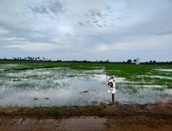 Petani Harus Kompak Kelola Pertanian