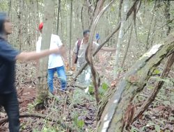 Hutan Kalimantan, Hutannya Kekayaan Alam