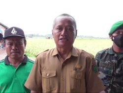 Maksimalkan Peran Penyuluh untuk Hasil Pertanian Modern