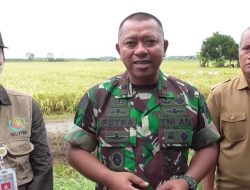 TNI Siap Dukung Kemajuan Kawasan Food Estate di Kalteng