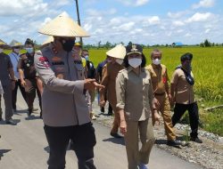 Kapolda Kalteng Kunjungi Lokasi Food Estate