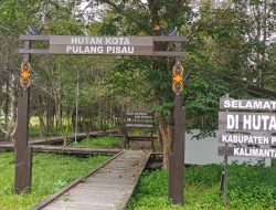 Hutan Kota di Gedung Pemerintah Terlihat Kotor tak Terawat