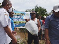 Kampung Budidaya Mentaren II Menerima Bantuan 100 Ribu Bibit Ikan Papuyu