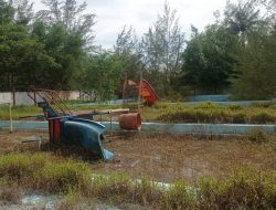 Tingkatkan Fasilitas Penunjang Wisata Sungai Bakau