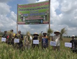 Biota Group Hadir sebagai Solusi Peningkatan Hasil Panen Petani