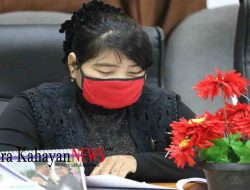 Desa Tumbang Kasai Layak Dibangunkan PLTMH