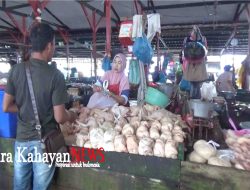 Harga Ayam Daging di Pasar SAIK Rp 45 Ribu