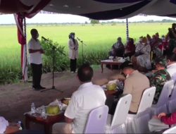 Kadis Pertanian Paparkan Kemajuan Food Estate