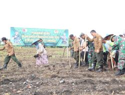 Kodim Lamongan Tanam Jagung, Dukung Ketahanan Pangan Nasional