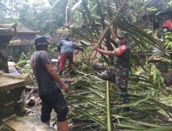 Hujan Disertai Angin Landa Klungkung, Koramil dan BPBD Bersinergi