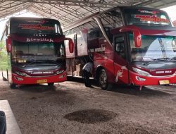 PO Trans Agung Mulia Beri Layanan Antar-Jemput Penumpang di Kota P.Bun