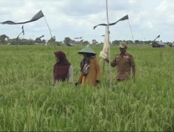 Menerapkan Peningkatan Petani Melalui Penyuluh