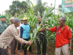 Mayjen Farid Makruf Yakin Metode Silase Mampu Dongkrak Perekonomian Warga Sumenep