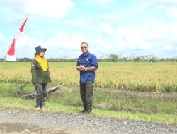 Peran Penyuluh Maksimalkan Hasil Panen Petani