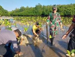 TNI-Polri di Klungkung Bergerak Tanam Mangrove