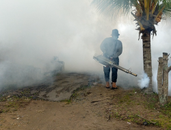 Lokasi Terindikasi DBD Wajib Difogging