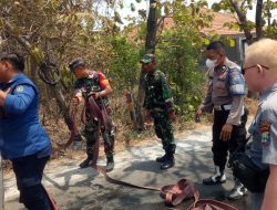 Babinsa dan Bhabinkamtibmas Kembangbahu Berjibaku Padamkan Api