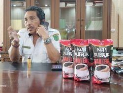 Disperindagkop Dorong Pelaku UMKM Kreatif