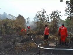 Karhutla Merambah ke Wilayah Pinggiran Kota