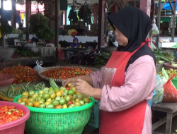 Wow, Harga Tomat di Kuala Pembuang Mencapai Rp 38 Ribu!