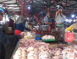 Harga Ayam Daging di Kuala Pembuang Tembus Rp 58 Ribu