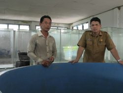 Balai Benih Ikan Dinas Perikanan perlu Pengembangan