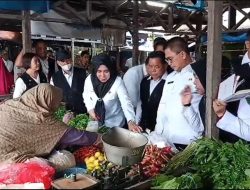 Pj. Bupati Cek Pasar Harian Patanak