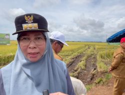 Pemkab Terus Maksimalkan Lahan Non Produktif